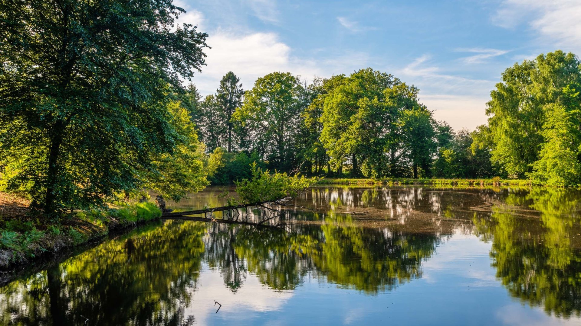 Parc Chapelle saint martin
